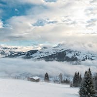 Tiroler Alpinskischule Edelweiss Kirchberg
