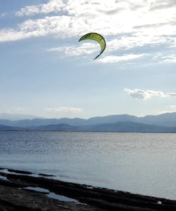 Kite in Athens Raches