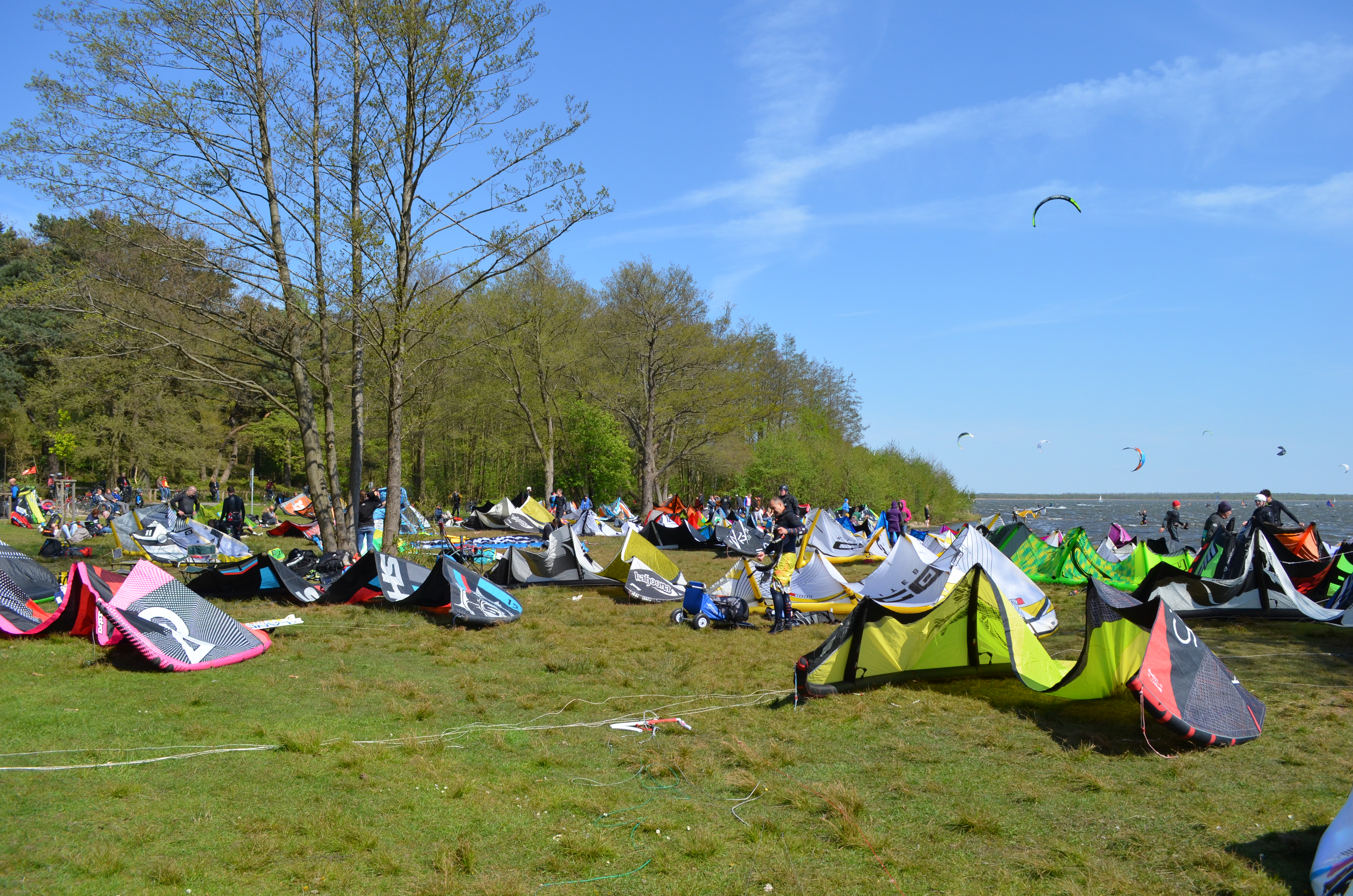 Surfer's Paradise – Steinhuder Meer